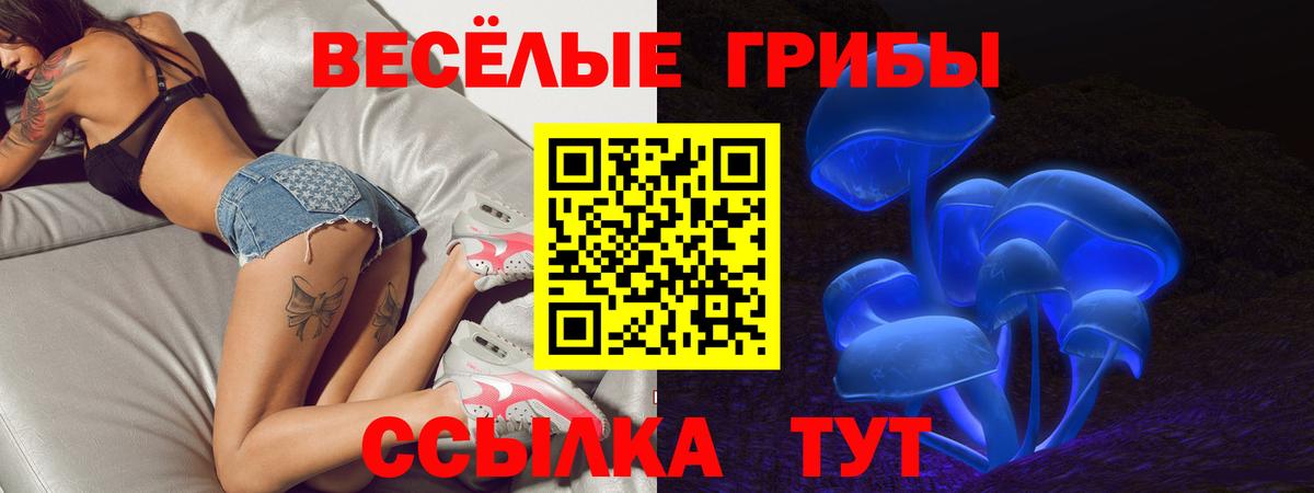 Галлюциногенные грибы Cubensis  Вход с VPN  Сорочинск  Псилоцибиновые грибы мицелий 
